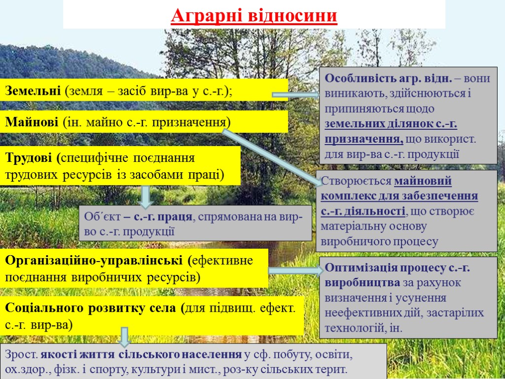 Класифікація аграрних відносин Земельні (земля – засіб вир-ва у с.-г.); Майнові (ін. майно с.-г.